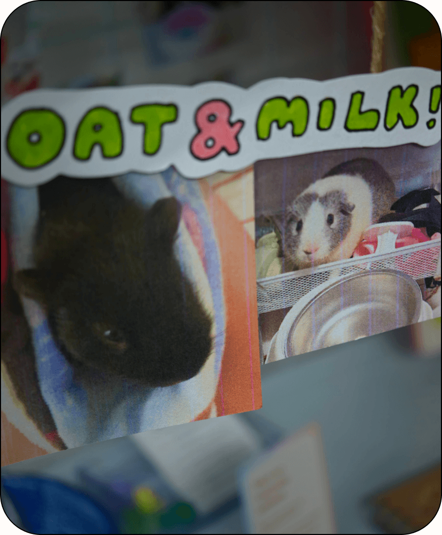 Shelf Life project photograph 2